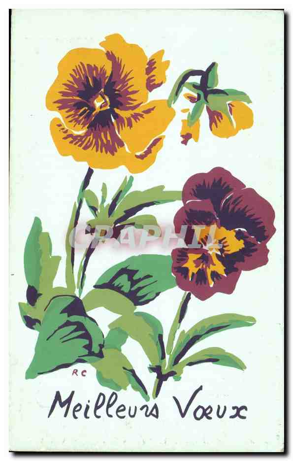 Fleurs Pensee - Pansy - CPA 
