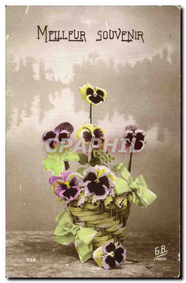 Fleurs Pensee - Pansy - Meilleur Souvenir - CPA 