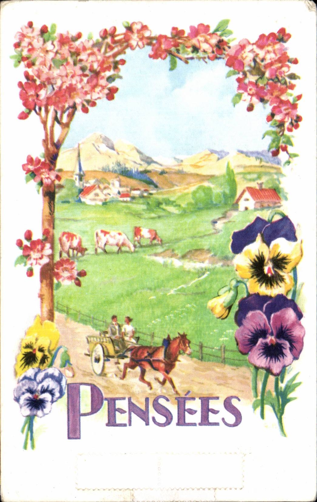 Fleurs Pensee - Pansy - cheval - horse - CPA 