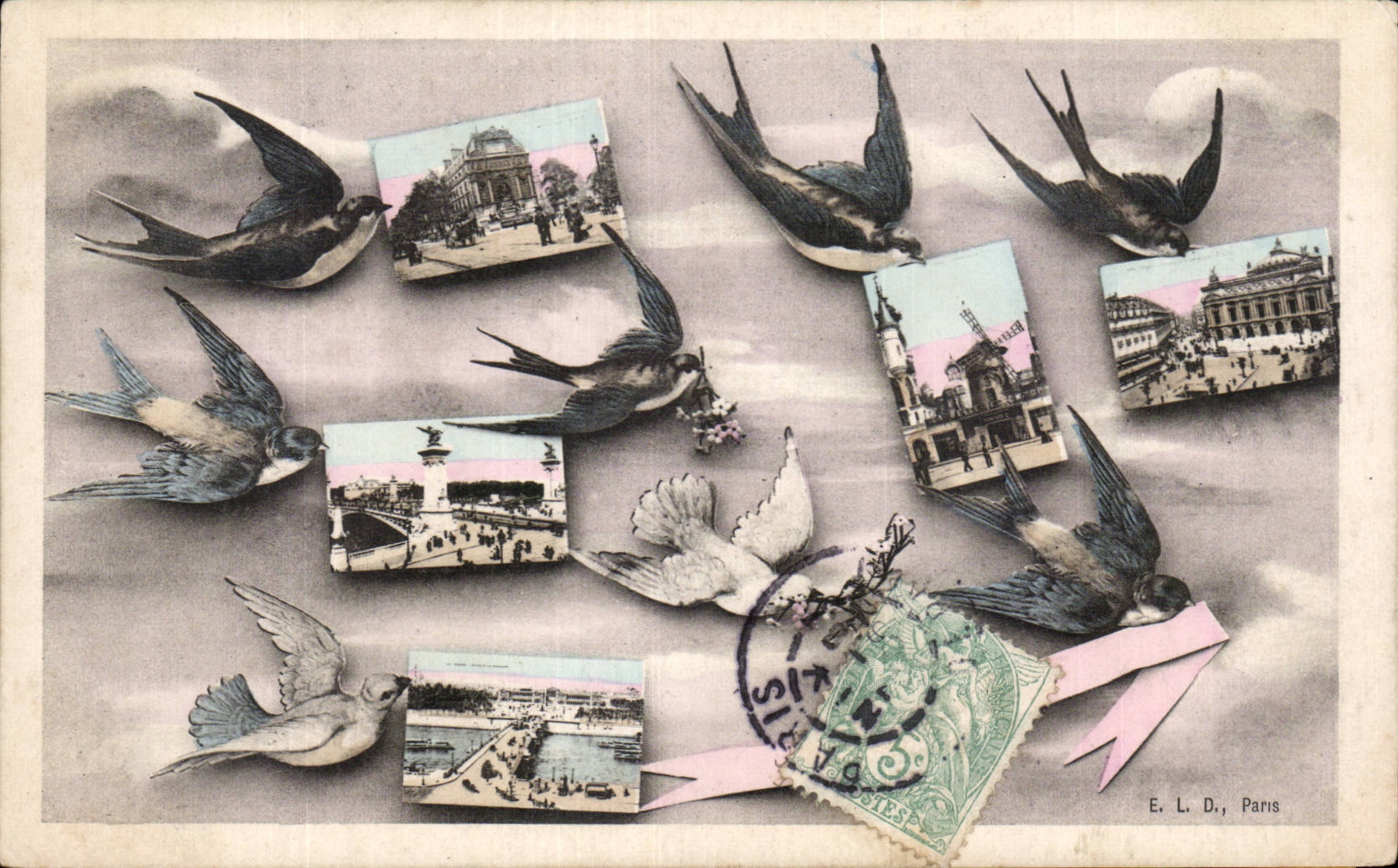 Paris - 1 - Souvenir - Oiseau - birds - CPA 