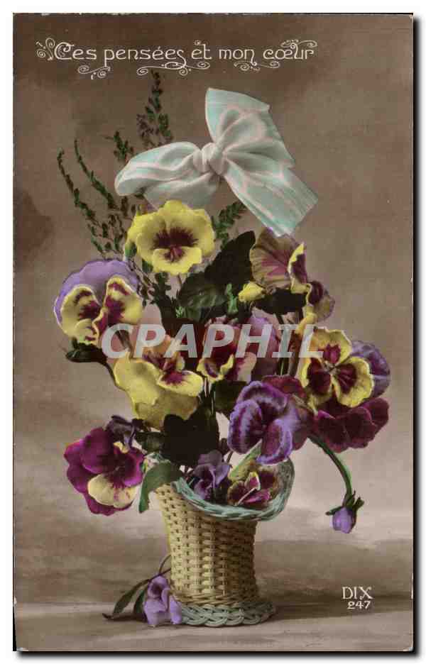 Fleurs Pensee - Pansy - Ces Pensees et mon Coeur - CPA 