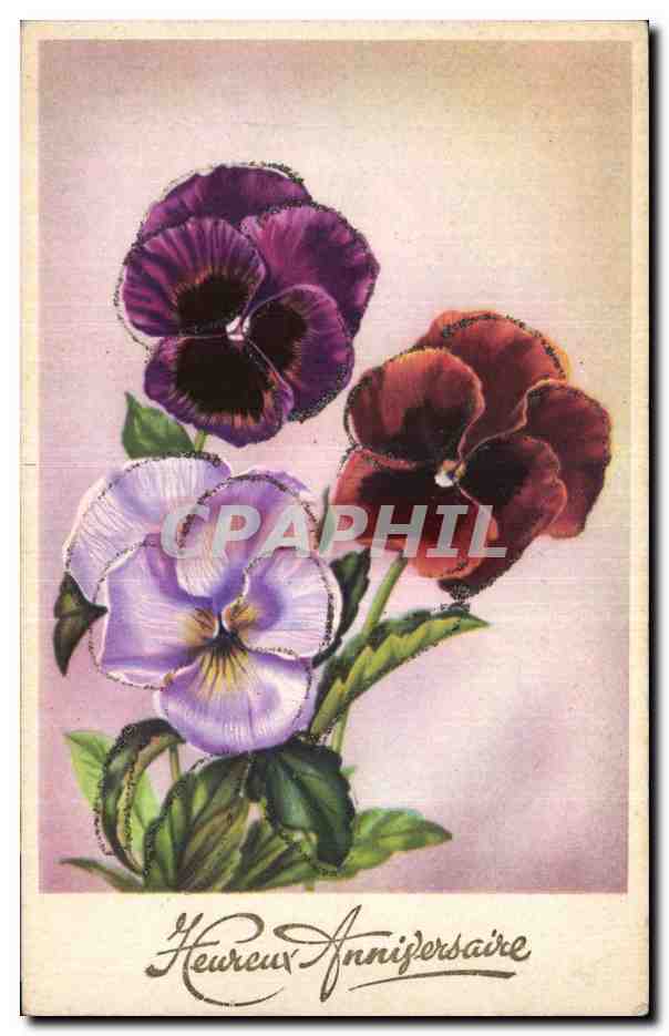 Fleurs Pensee - Pansy - Heureux Anniversaire - CPA 