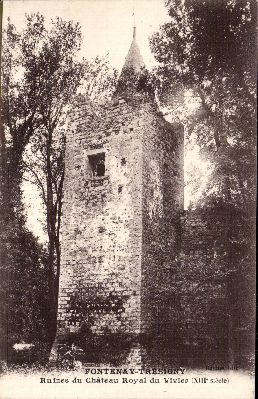 CPA Fontenay Tresigny Ruines du chateau royal du Vivier