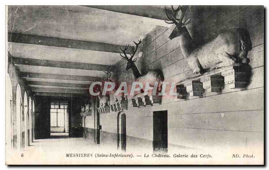 CPA Mesnieres Le chateau Galerie des cerfs
