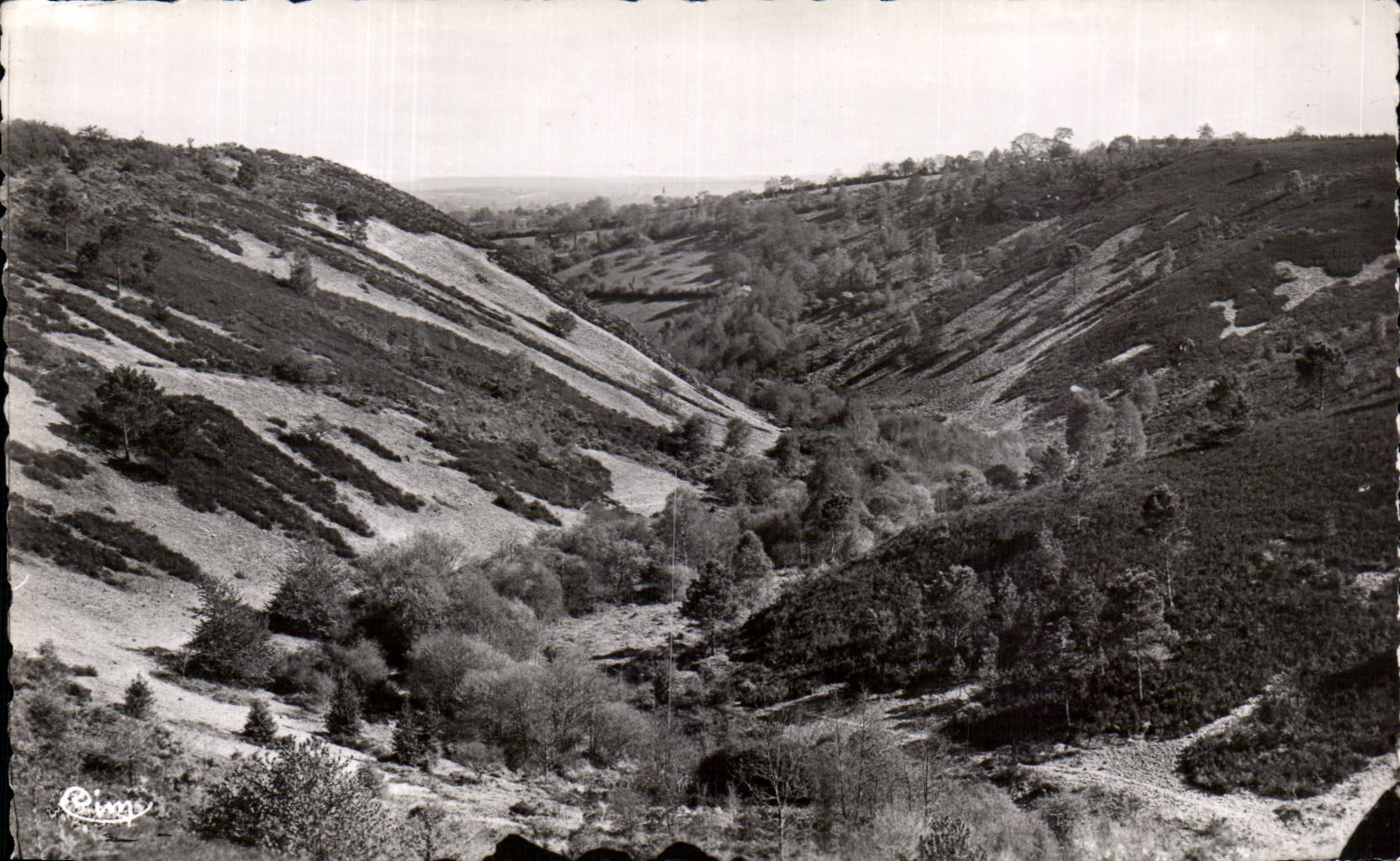 Les Alpes Mancelles — Saint-Léonard-des-Bois (Sarthe) — La Vallée de Misère — Éditeur : Reine