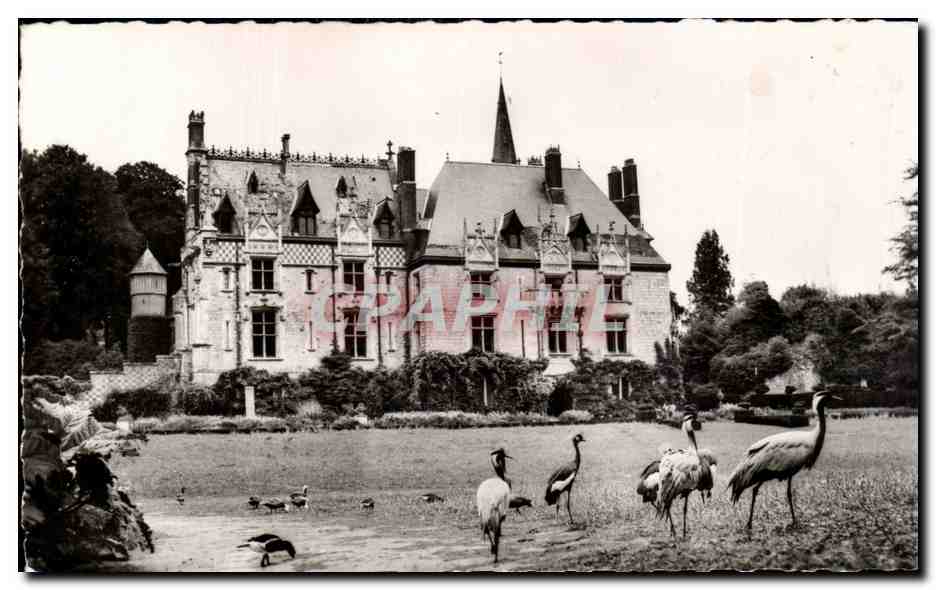 CPA Parc zoologique de Cleres Le chateau Grues couronnees et demoiselles Numidie
