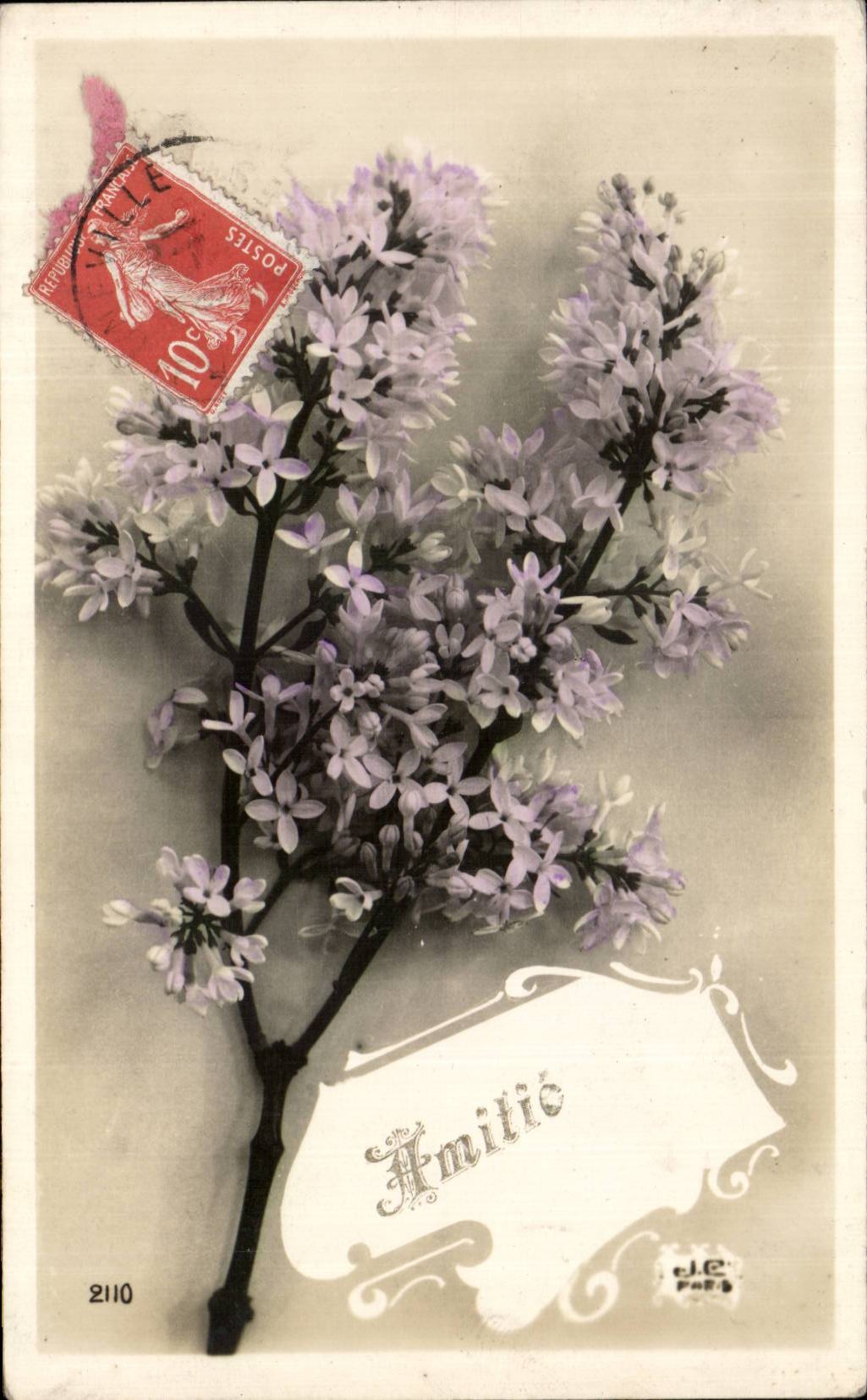 Fleurs Amitie - CPA 