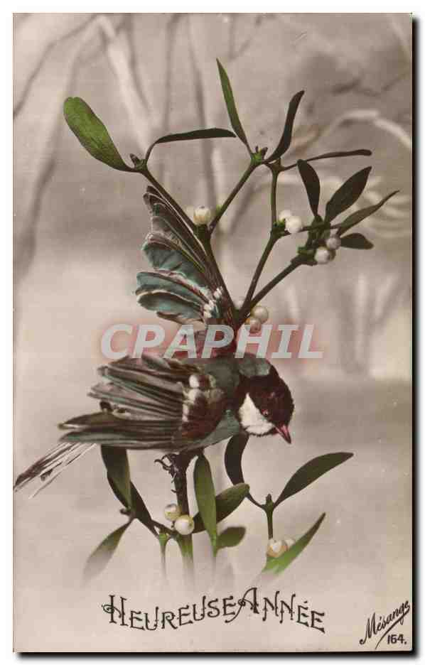 Fetes - Voeux - Bonne Annee - houx - holly Oiseau Bird - CPA 