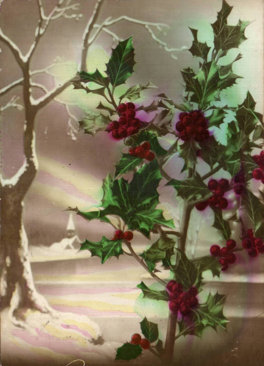 Fetes - Voeux - Bonne Annee - houx - holly - CPA 