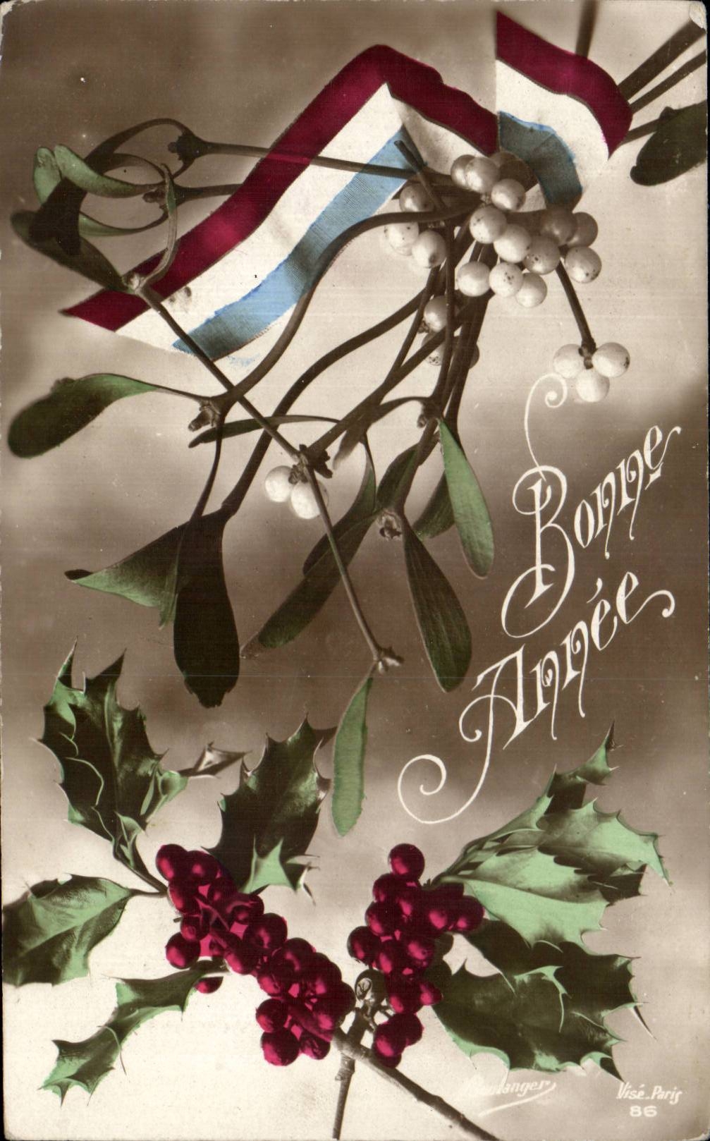Fetes - Voeux - Bonne Annee - houx - holly Flag Pays Bas - CPA 