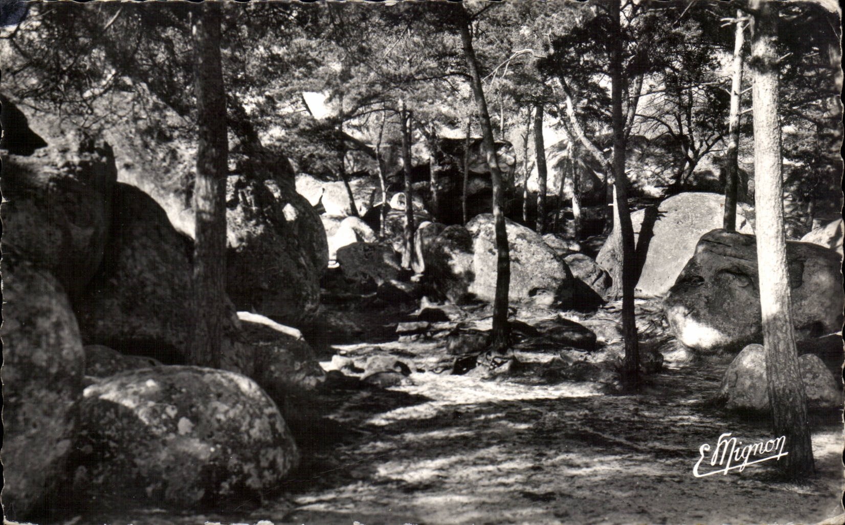 Malesherbes - Les Roches - CPA 
