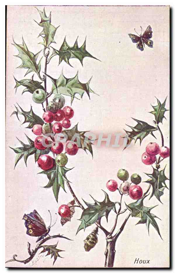 Fetes - Voeux - Bonne Annee - houx - holly insectes - CPA 