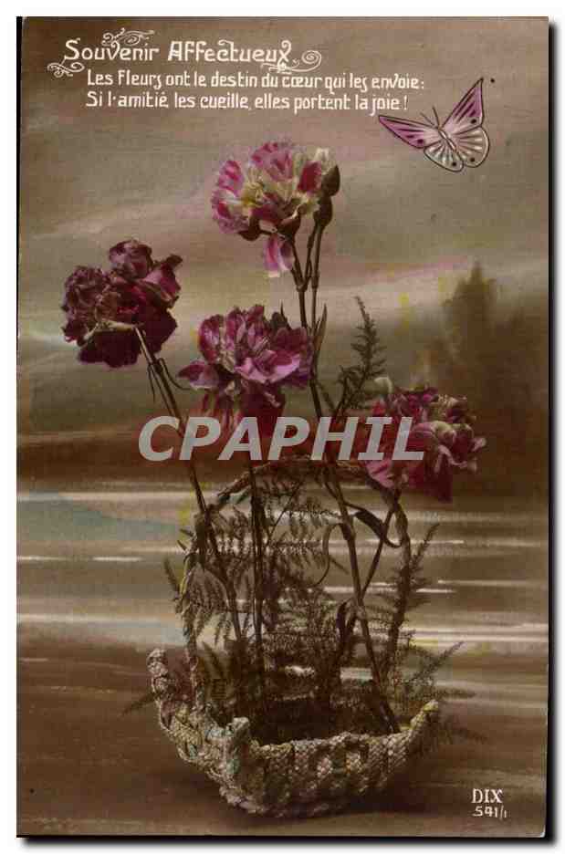 Fleur Oeillet - Carnation - papillon - butterfly - CPA 