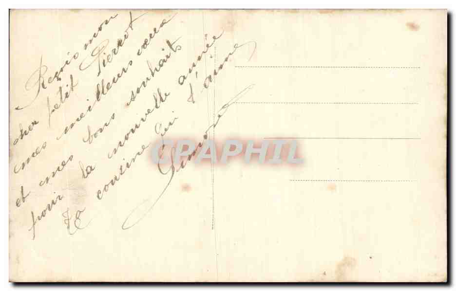 Fleur Oeillet - Carnation - CPA  — Verso