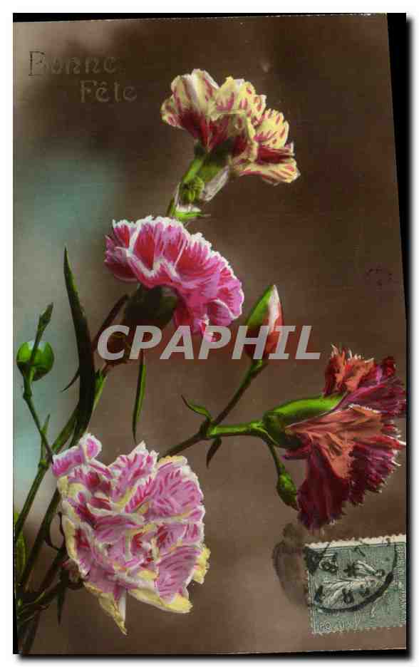 Fleur Oeillet - Carnation - Bonne Fete - CPA 