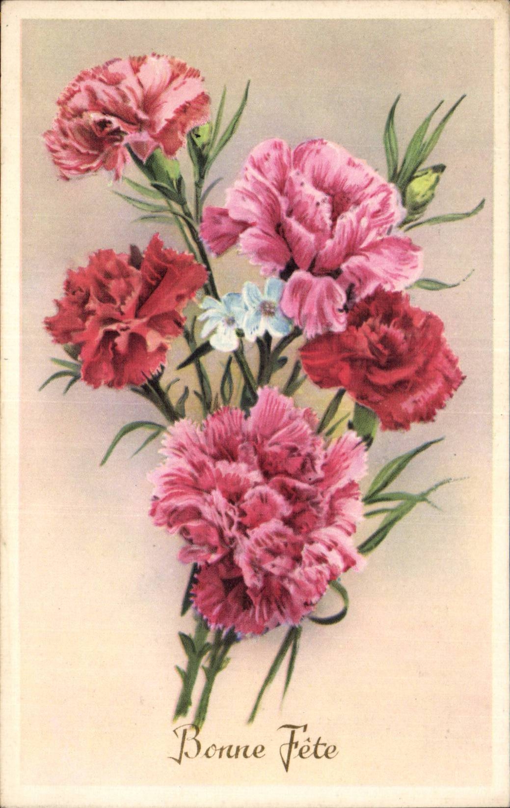 Fleur Oeillet - Carnation - Bonne Fete - CPA 