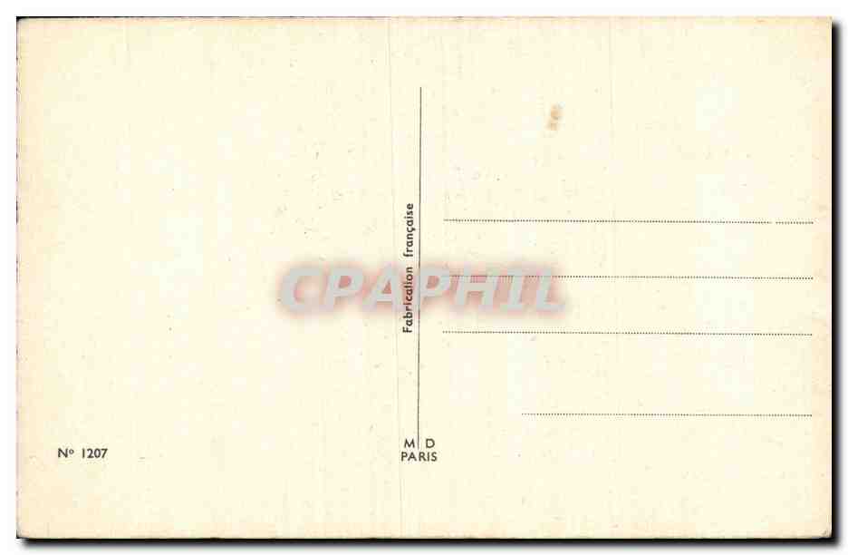 Fleur Oeillet - Carnation - CPA  — Verso
