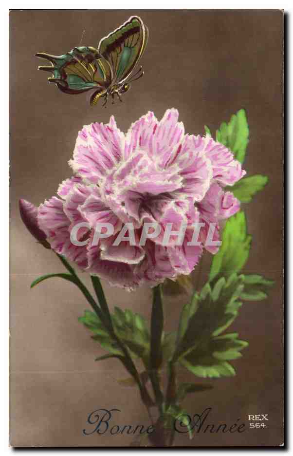 Fleurs Oeillet - Carnation - Bonne Annee - Papillon - Butterfly - CPA 