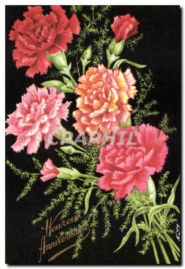 Fleurs Oeillet - Carnation - CPA 
