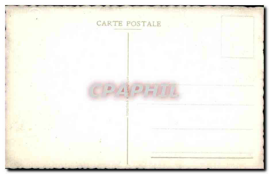 Fleurs Oeillet - Carnation - CPA  — Verso