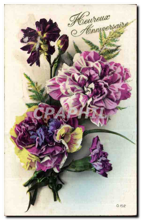Fleurs Oeillet - Carnation - Heureux Anniversaire - CPA 