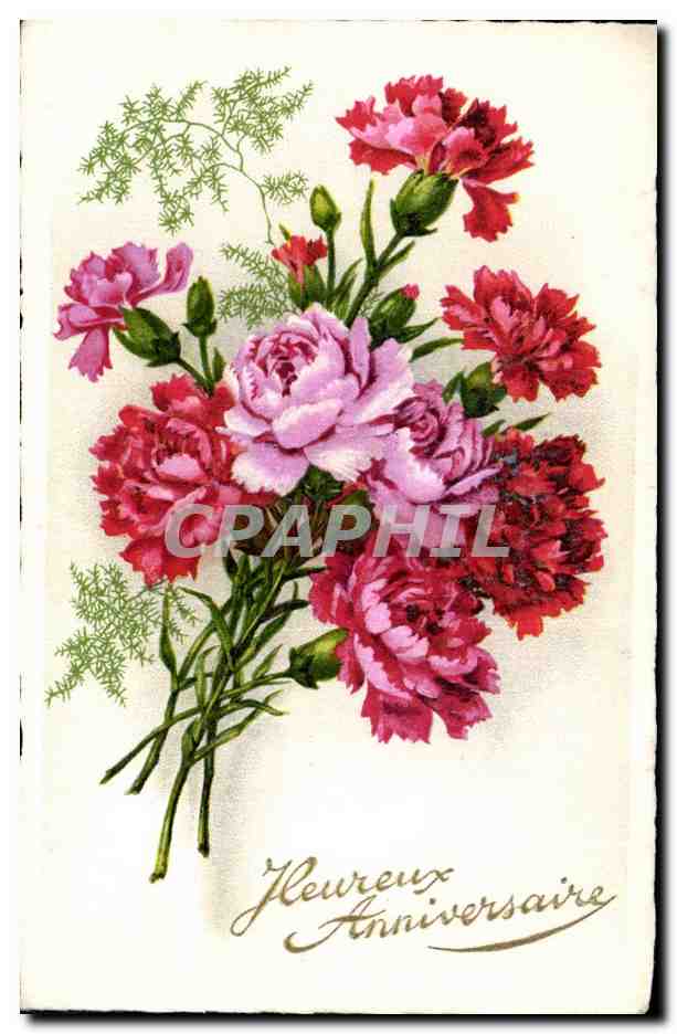 Fleurs Oeillet - Carnation - Heureux Anniversaire - CPA 