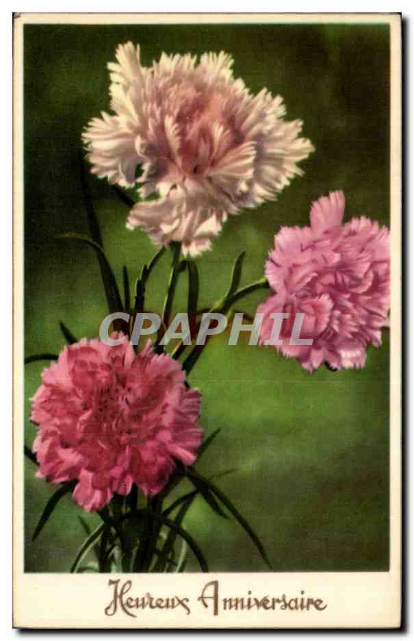 Fleurs Oeillet - Carnation - Heureux Anniversaire - CPA 