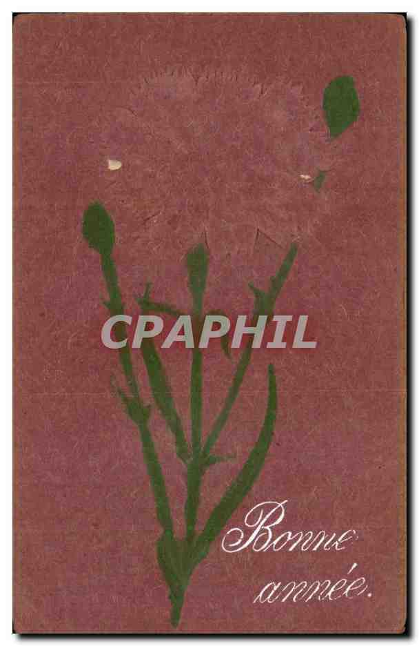 Fleurs Oeillet - Carnation - Bonne Annee - CPA 