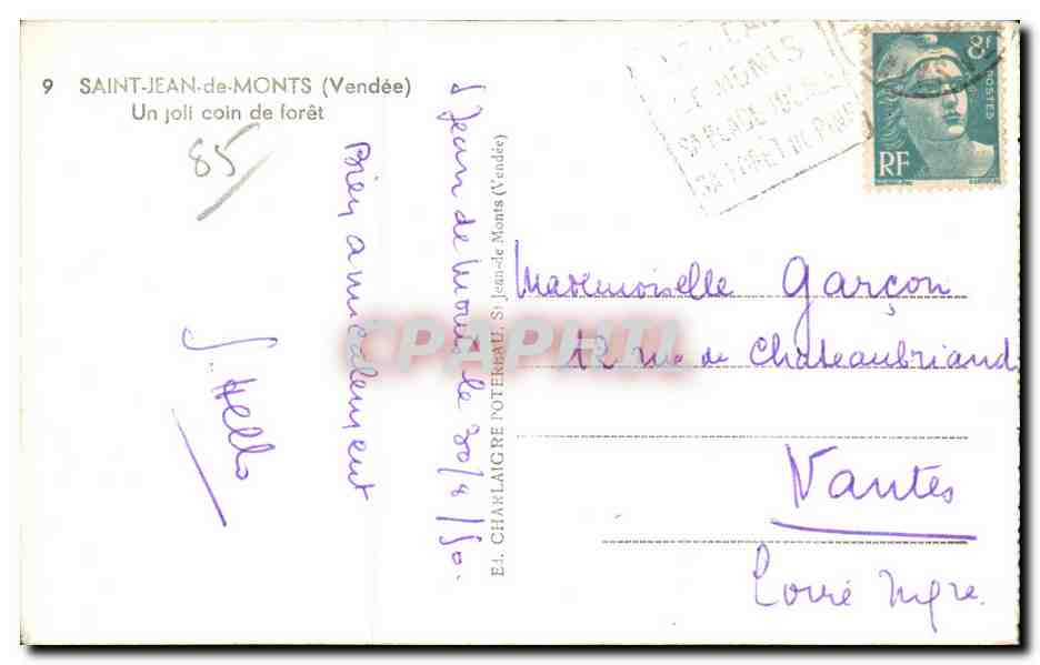 Saint-Jean-de-Monts (Vendée) — A nice corner of the forest — E. Charlaire, no. 9 — Back