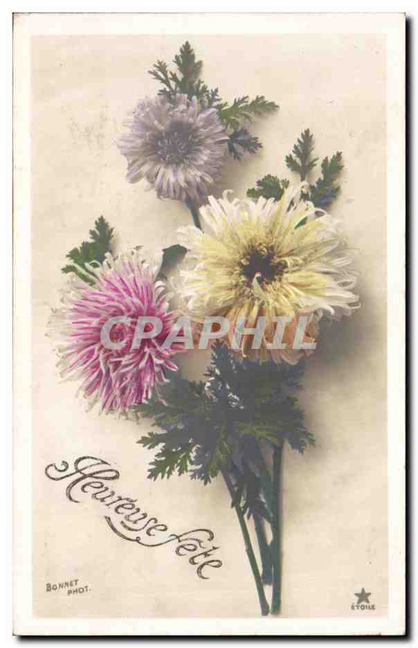 CPA Fantaisie Fleurs Heureuse fete