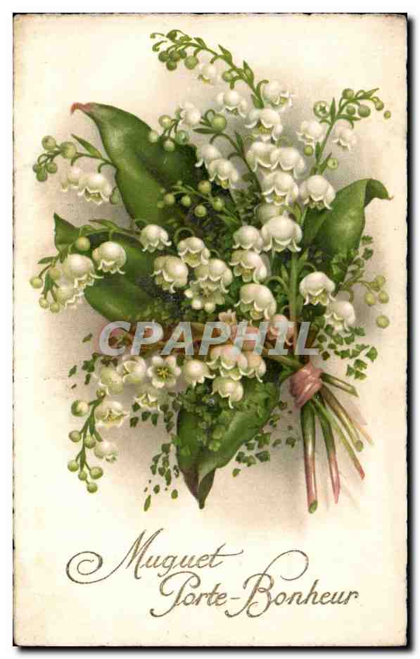 Fleurs Muguet - Lily of the Valley - Porte Bonheur - CPA 