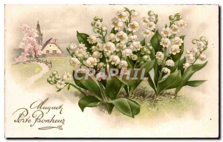 Fleurs Muguet - Lily of the Valley - Porte Bonheur - CPA 