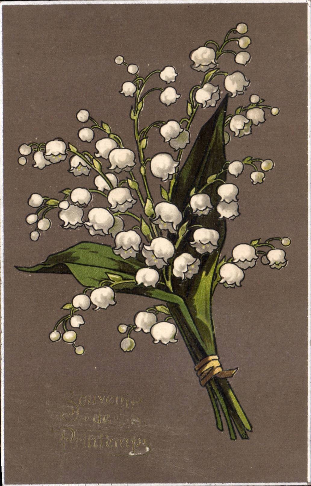 Fleurs Muguet - Lily of the Valley - Porte Bonheur - CPA 