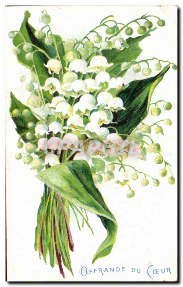 Fleurs Muguet - Lily of the Valley - Porte Bonheur - CPA 