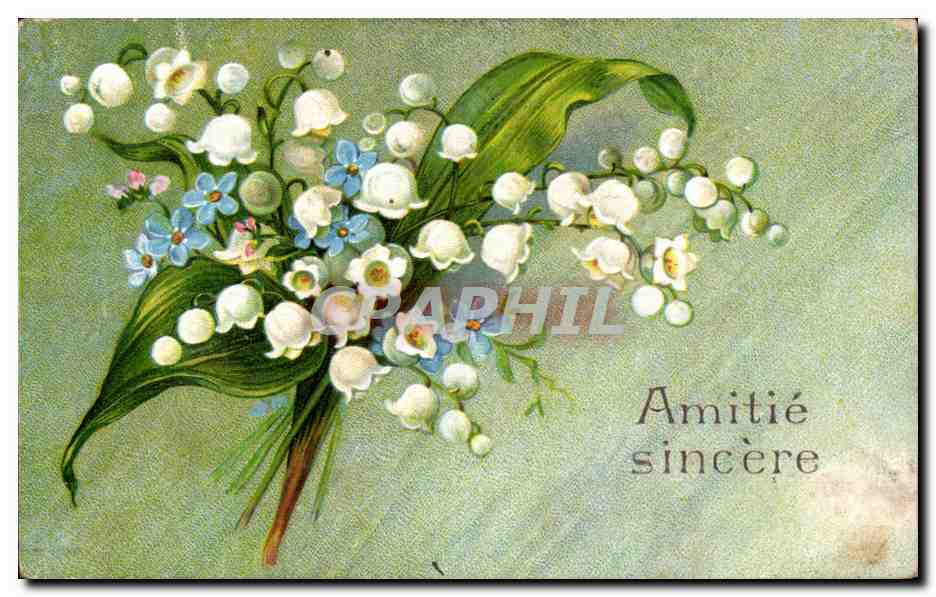 Bouquet de muguet et de fleurs bleues — Amitié sincère — éditeur non visible