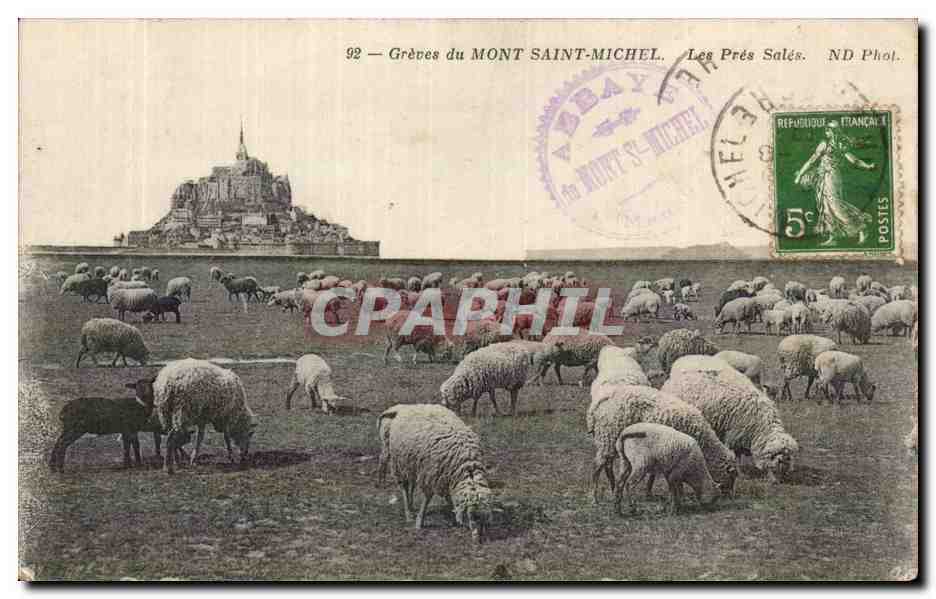 Le Mont Saint Michel - Greves - Les Pres Sales - CPA 