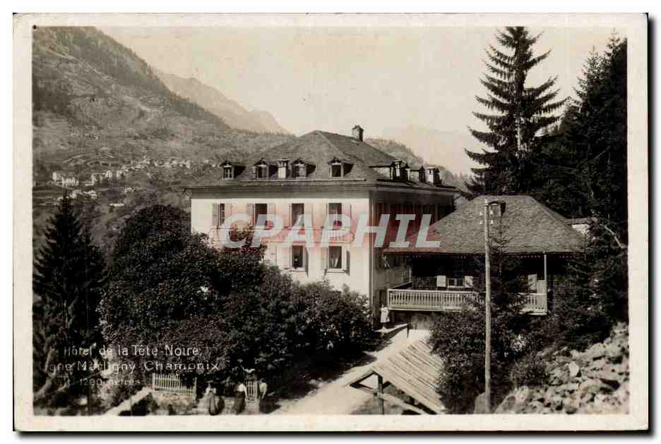 Chamonix - Hotel de la Tete Noire - CPA 