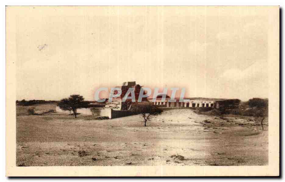 Afrique - Africa - Mali - Gao - Le Tombeau des Askias - CPA 