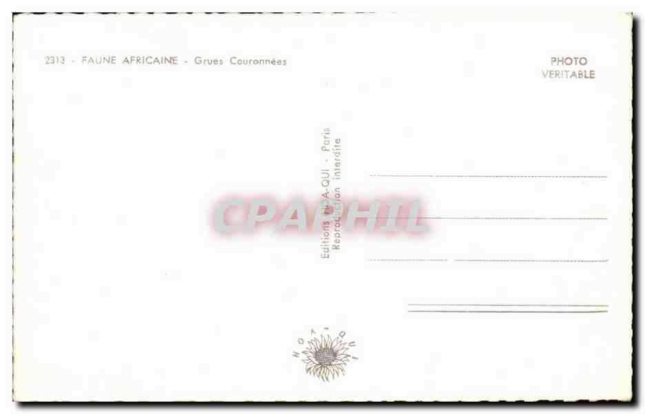 Animaux et Faune - Faune Africaine - Grues Couronnees - CPA  — Rückseite