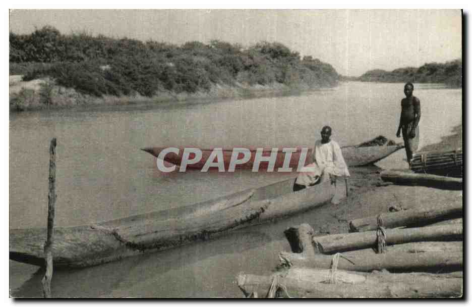 Paris - Museum National d Histoire Naturelle - Musee de l Homme - CPA 