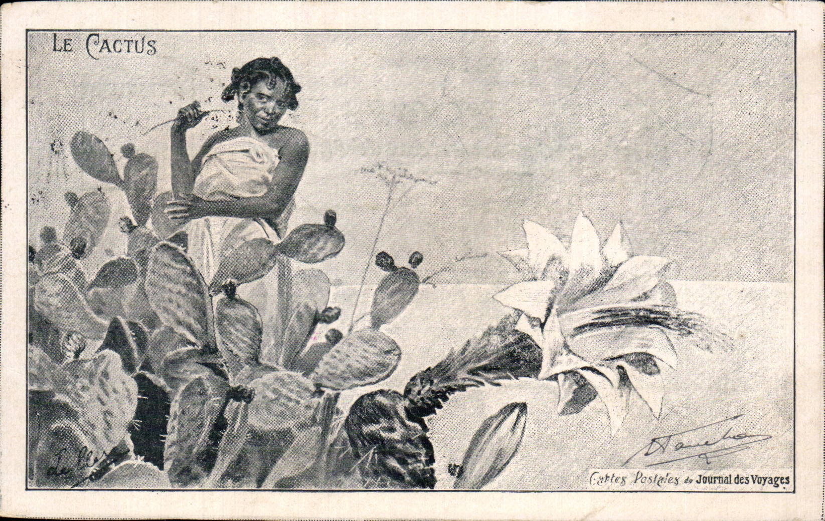CPA Le cactus Journal des voyages