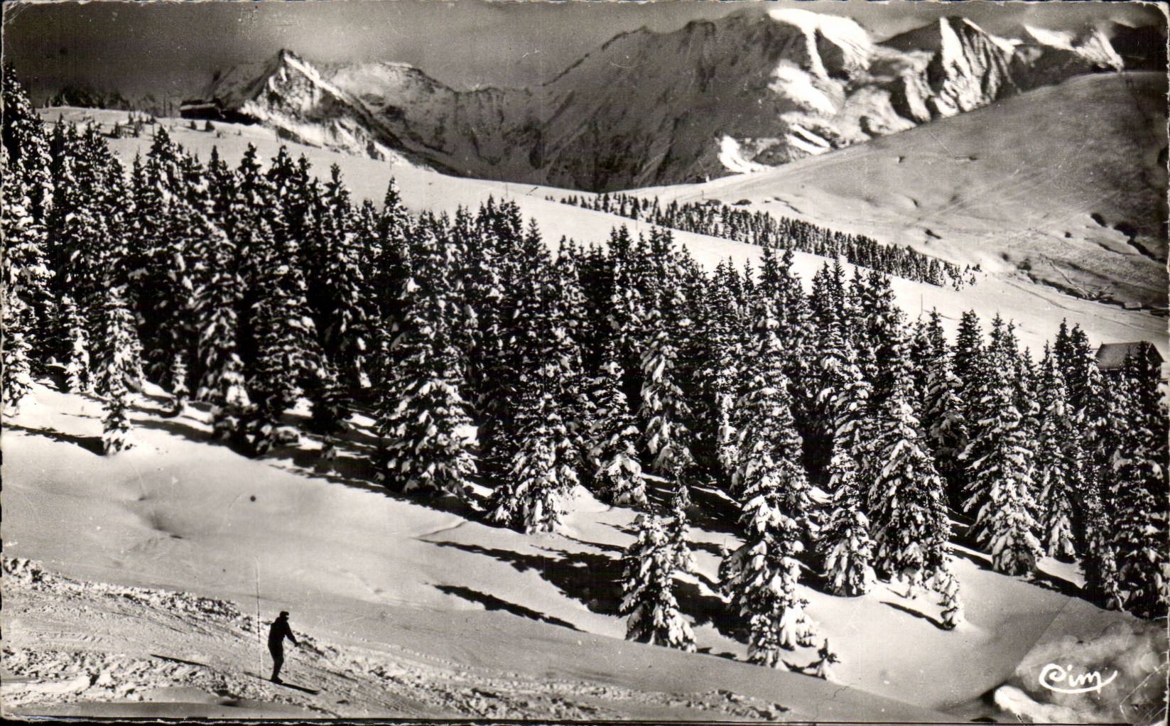 Megève (Haute-Savoie) — Sapins sous la neige au Mont d'Arbois — Combière