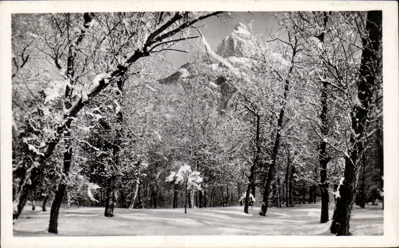 Mégeve (Haute-Savoie) — L'Aiguille de Varens et un Sous-Bois d'Hiver — L. Morand, photographe