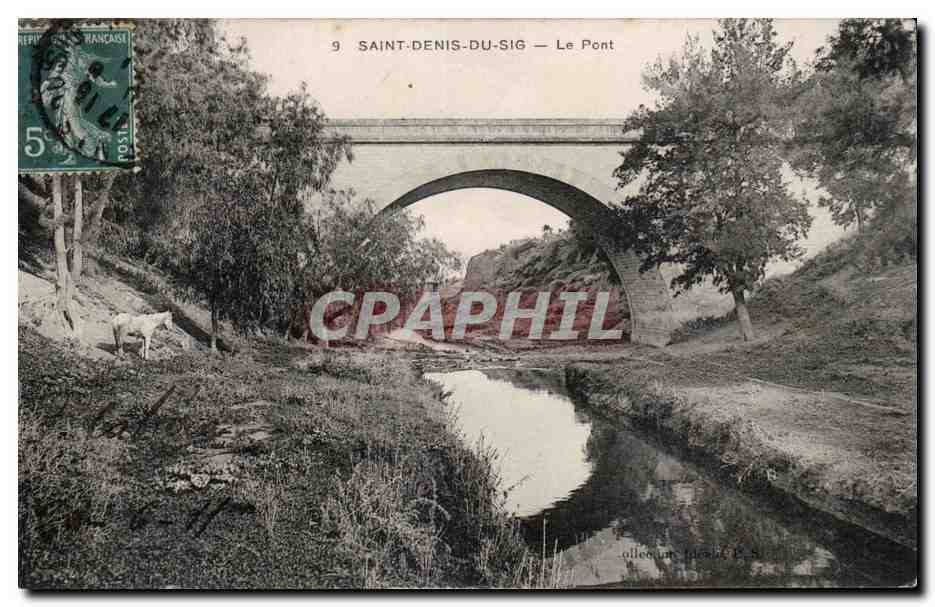 CPA Algerie Saint Denis du Sig Le pont Cheval Horse