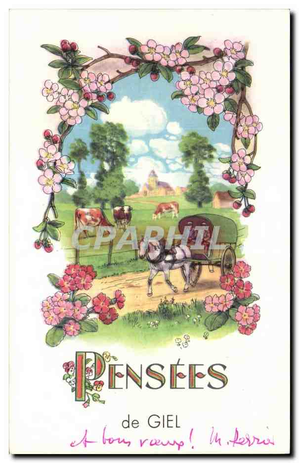 Orne - Giel - Souvenir - Pensee - Illustration - CPA 