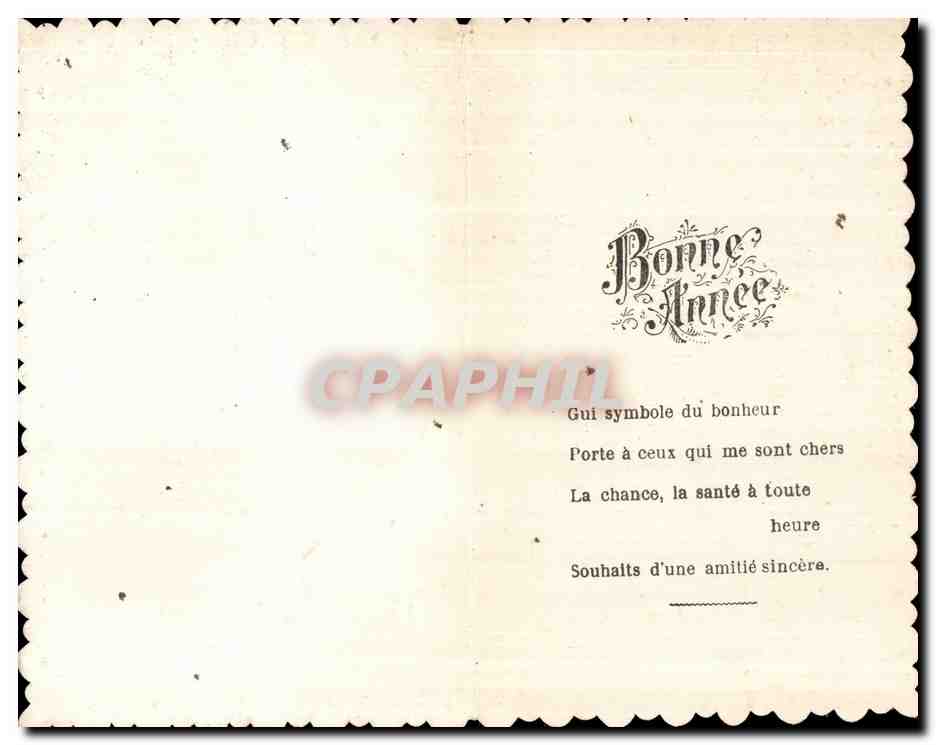 Fetes - Voeux - Bonne Anne - New Year - houx - holly - CPA — Rückseite
