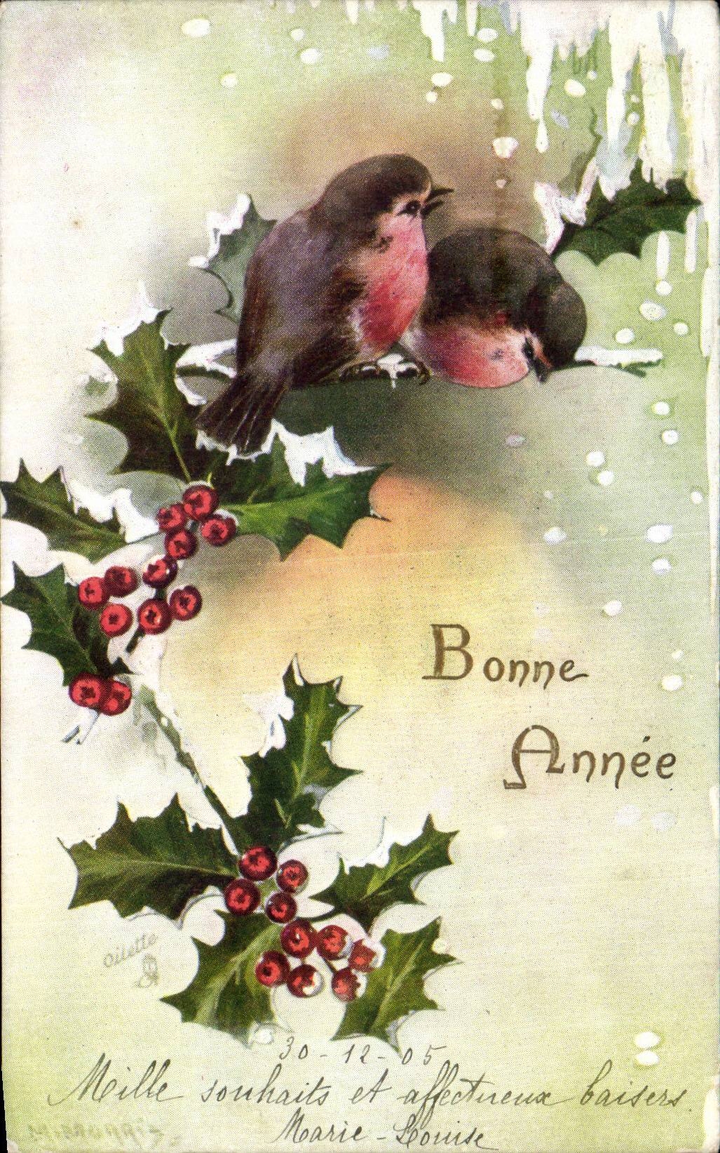 Fetes - Voeux - Bonne Anne - New Year - birds - CPA