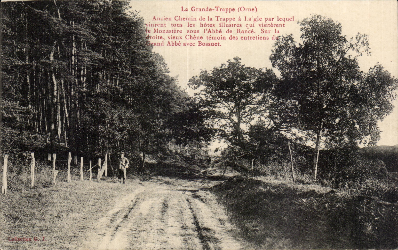 La Grande-Trappe (Orne) — Ancien chemin de la Trappe à Laigle, avec chêne témoin des entretiens du Grand Abbé Bossuet — Collection G. I.
