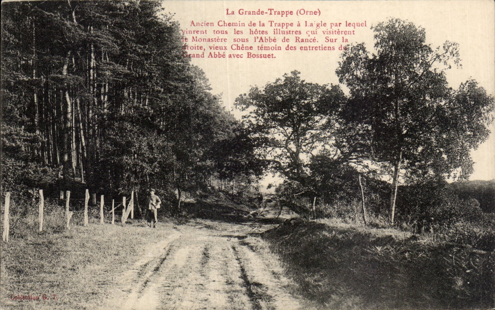 La Grande-Trappe (Orne) — Ancien chemin de la trappe à Laigle, avec chêne témoin des entretiens du Grand Abbé Bossuet — Collection G. J.