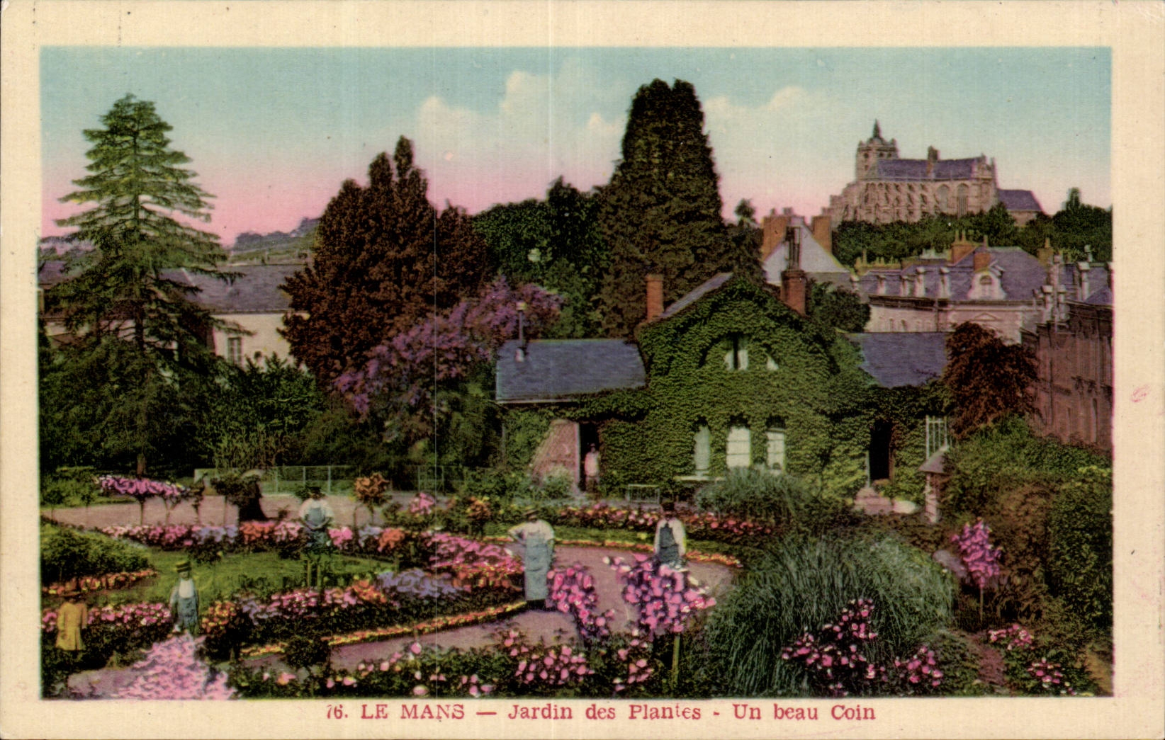 Le Mans - Jardin des Plantes - CPA